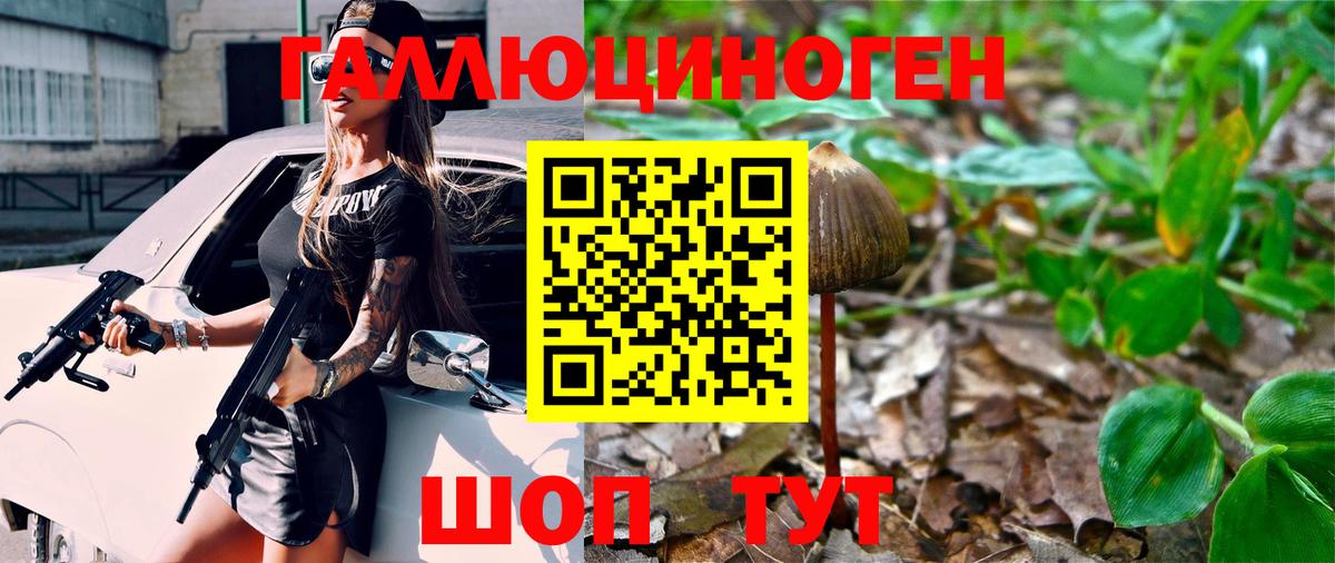 Магазины продажи наркотиков  МЕФ кристаллы  Тара  ГАШИШ  Вход с VPN  Меф МЯУ МЯУ  Бошки Шишки 