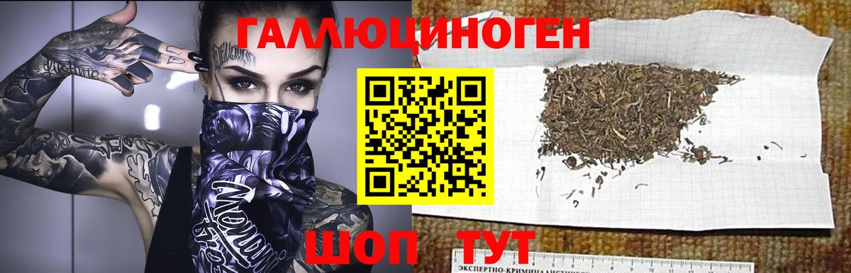 Псилоцибиновые грибы ЛСД Тара